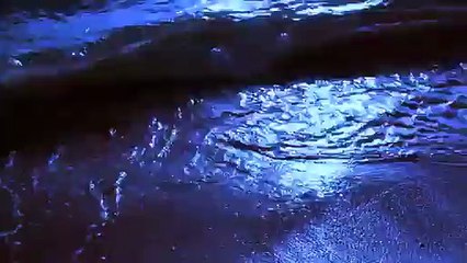 New S0nu kakkar Shaman Paiyan song...., -Adi Roxor