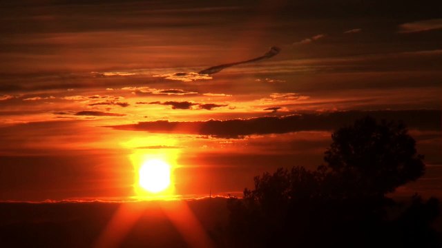 Así transcurrió el día 29/3/2015