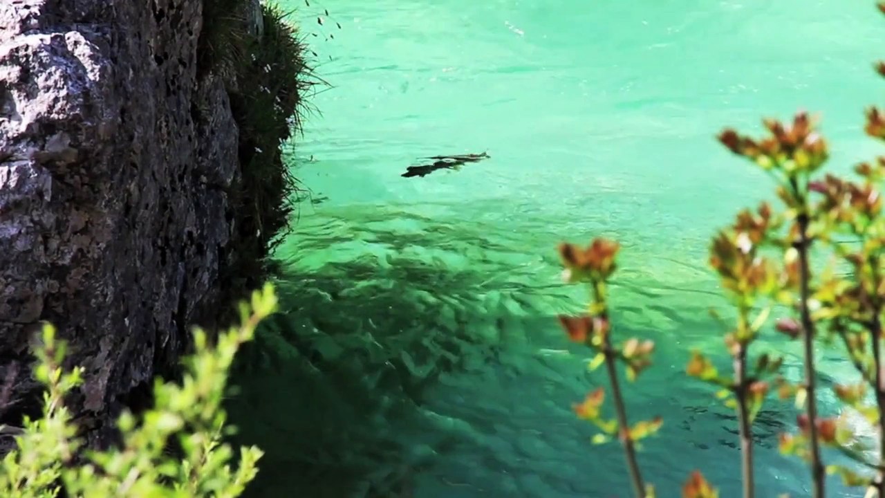 Slovenia