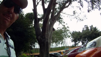 Grande Encontro de Carros Antigos de Paraibuna, SP, Brasil, Marcelo Ambrogi, Amigos, Fazenda, 29 de março de 2015, (8)