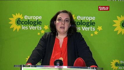 [Vidéo] - Départementales 2015 : « Toutes les forces républicaines sont au pied du mur », selon E.Cosse