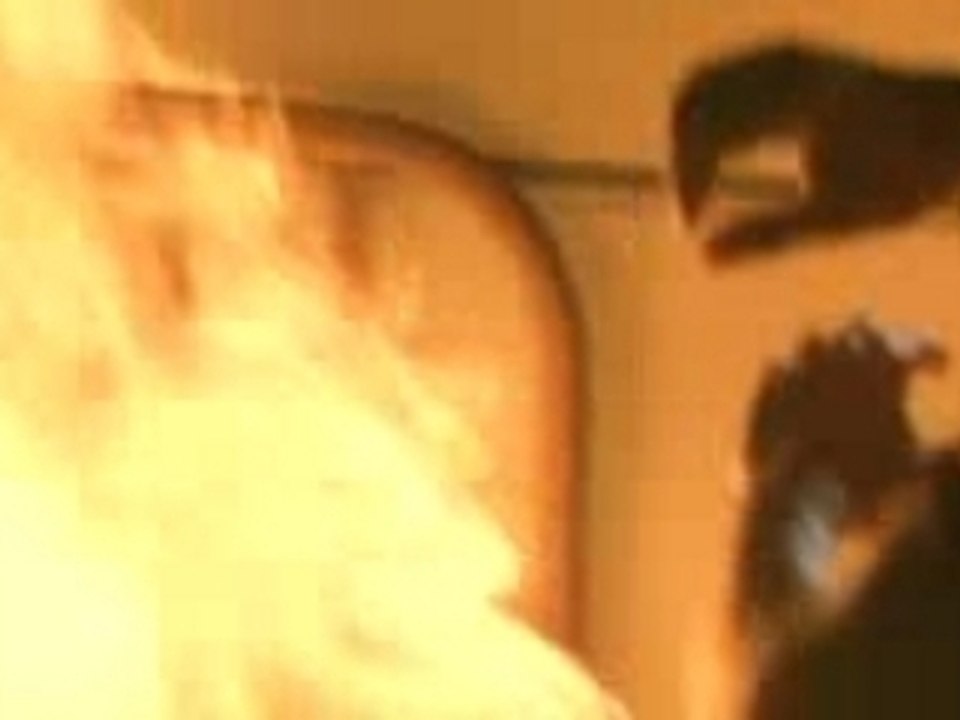 La cosecha_trailer