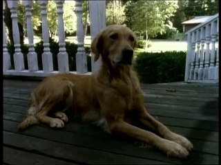 Pesadillas - La Máscara Encantada 2 - Parte 2