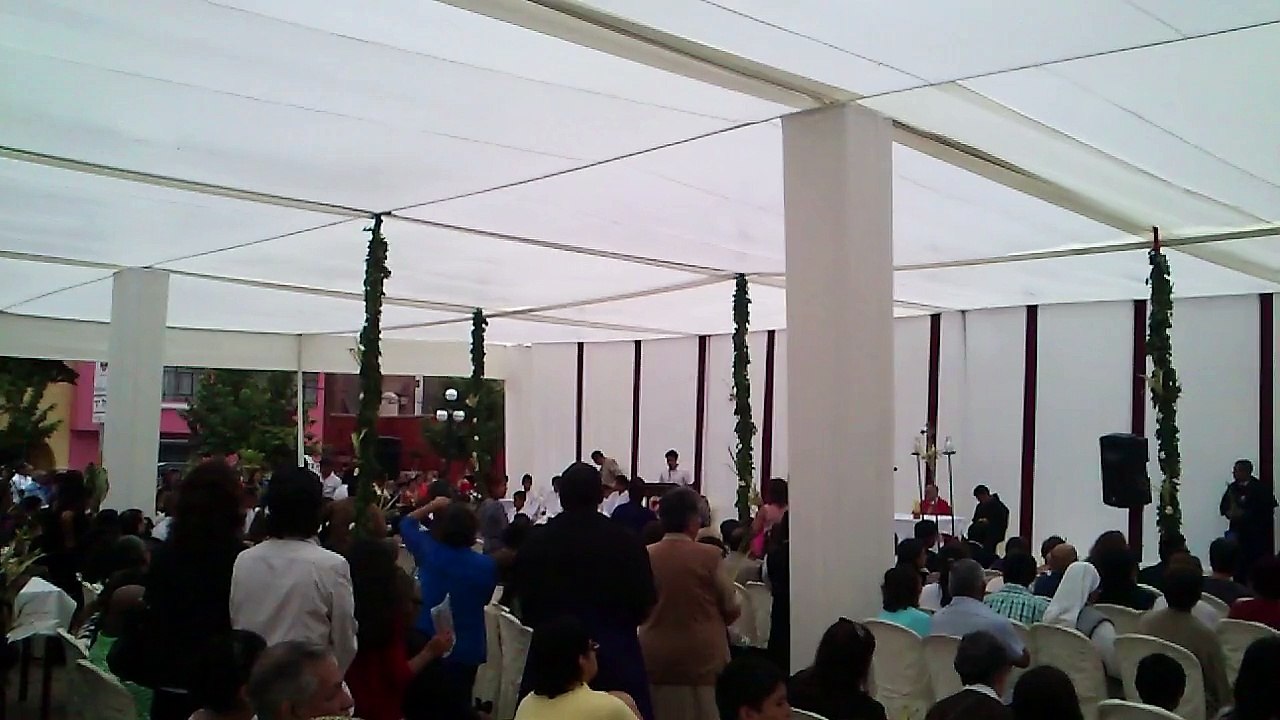domingo de ramos 2015
