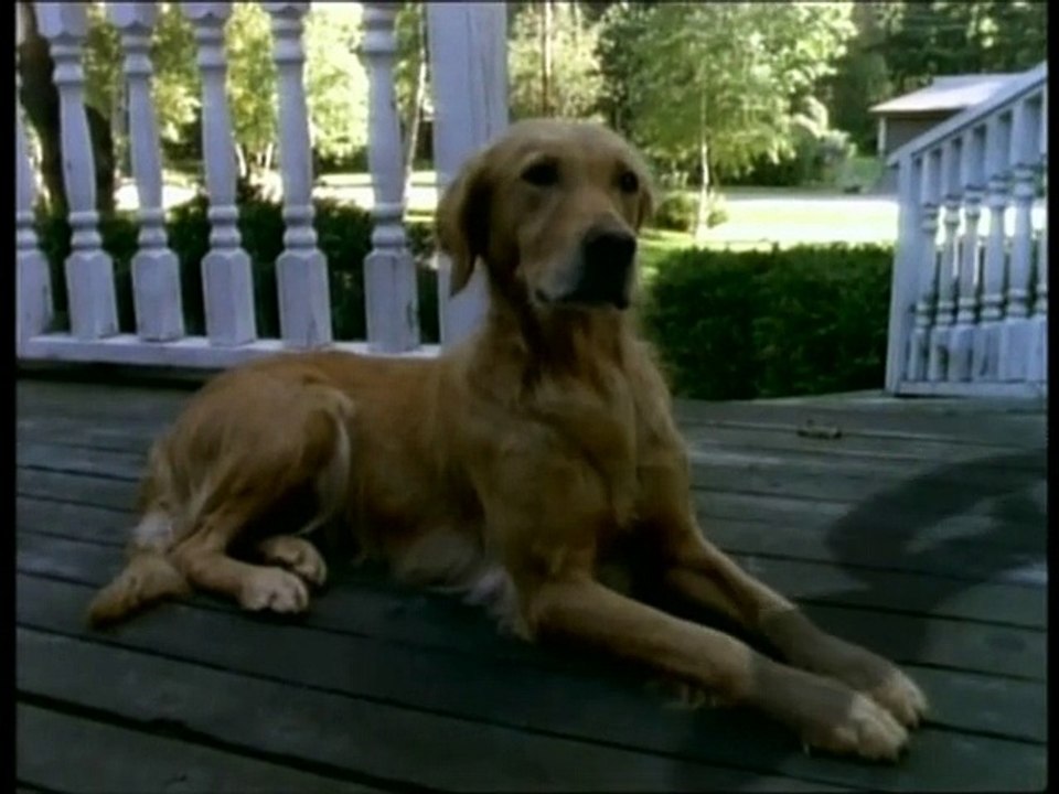 Pesadillas - La Casa de los Muertos - Parte 2