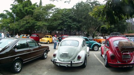 Grande Encontro de Carros Antigos de Paraibuna, SP, Brasil, Marcelo Ambrogi, Amigos, Fazenda, 29 de março de 2015, (39)