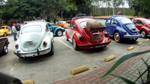 Grande Encontro de Carros Antigos de Paraibuna, SP, Brasil, Marcelo Ambrogi, Amigos, Fazenda, 29 de março de 2015, (40)