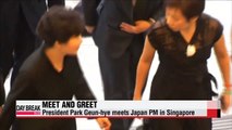 Pres. Park Geun-hye meets Japanese PM in Singapore