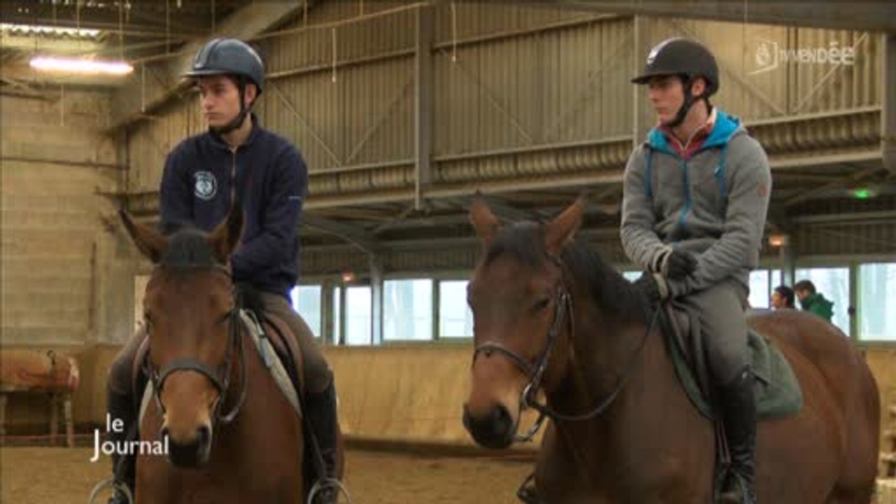 Equitation : Faire du dressage son métier