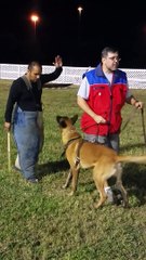 dog 9 Caribbean Dog Sport Club