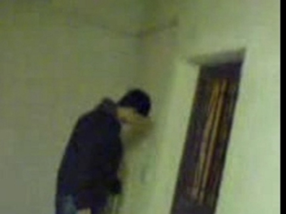 Projet Blaireau Witch