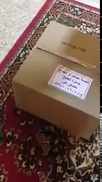 كبسة دجاج وحمام !
