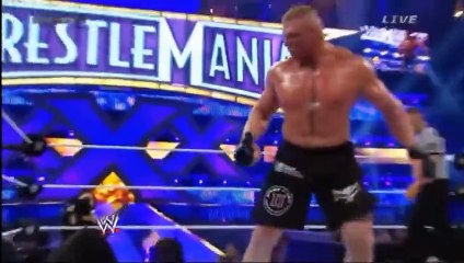 Undertaker vs Brock Lesnar Wrestlemania 30 highlights - dailymotion