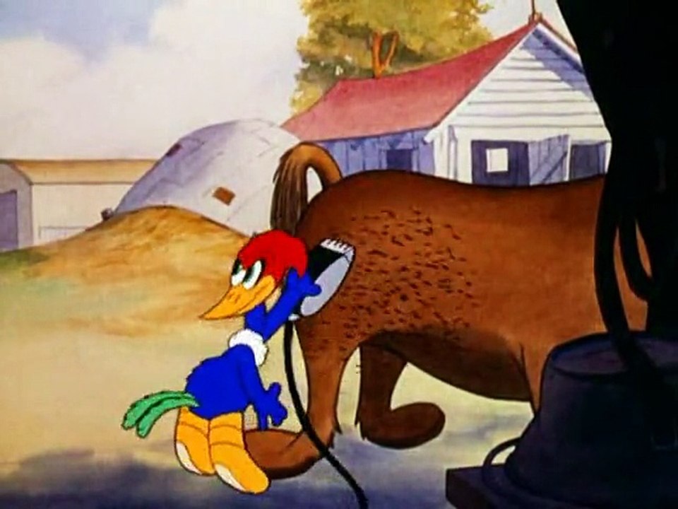 Woody Woodpecker- Ace in the hole