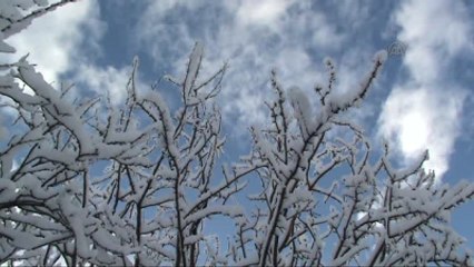 Doğuda Kar Yağışı