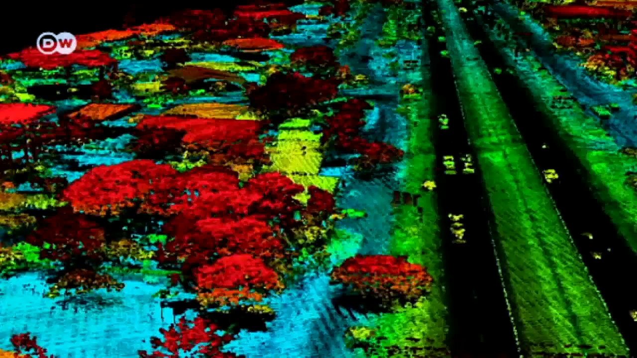 DR Kongo – Waldvermesser | Global 3000