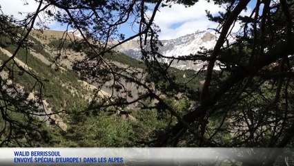 VIDÉO - Crash de l'A320 : un chemin d'accès en train d'être aménagé