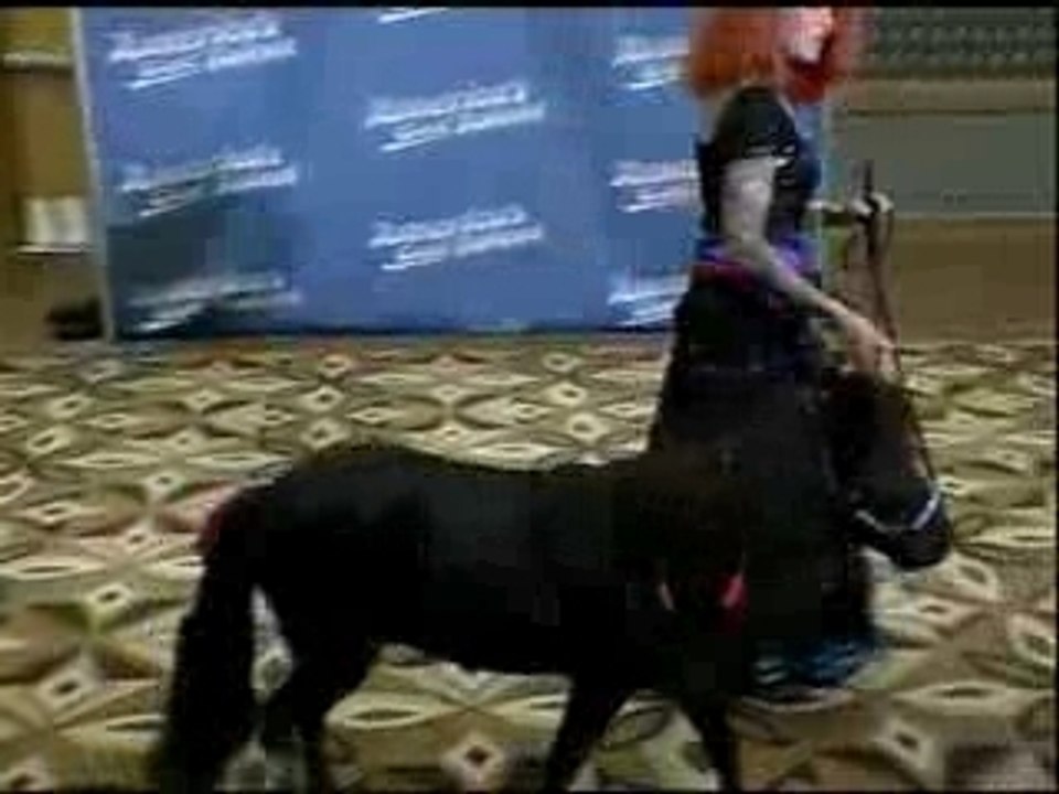 Horse Lady