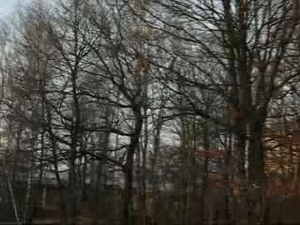 Crash marrant du 15 mars