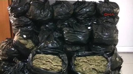 Şanlıurfa Çalıntı Araçta 252 Kilo Esrar Ele Geçirildi