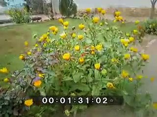 Babul Ki Duayen Leti Ja , video of: M Mohsin Shakeel, Funny