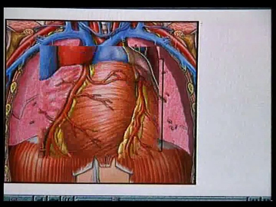 staroetv.su / Здоровье (ОРТ, 12.12.1997) Ренат Акчурин