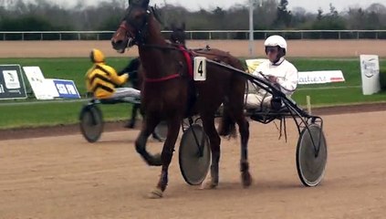 CETTE NOBLESSE ET CENTAUREE AU HEAT