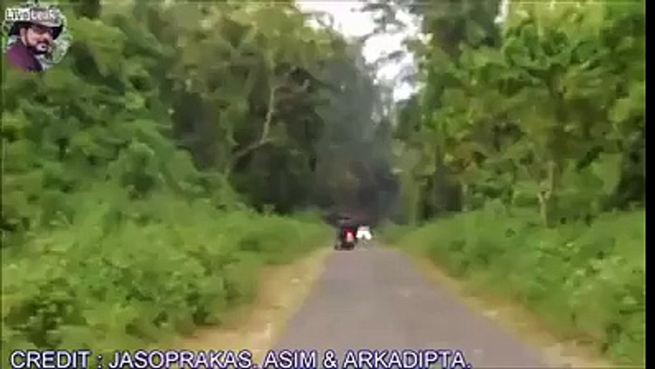 Attention lors des balades à moto, un éléphant peut vous charger !