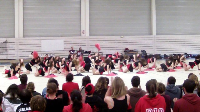 Pompoms ENSAT Occits 2015