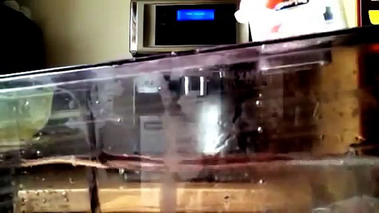 DeLonghi Prima Donna entkalken