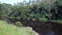 Marcelo Ambrogi, Natureza Indômita, Rio Paraibuna, Mergulhos Sub-aquáticos, Onças, Aranhas, Peixes, Serra do Mar, (12)