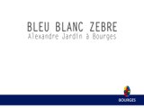 Bleu Blanc Zèbre à Bourges - 10/2014
