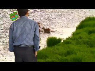 Hamza Arts Chroma Video-4