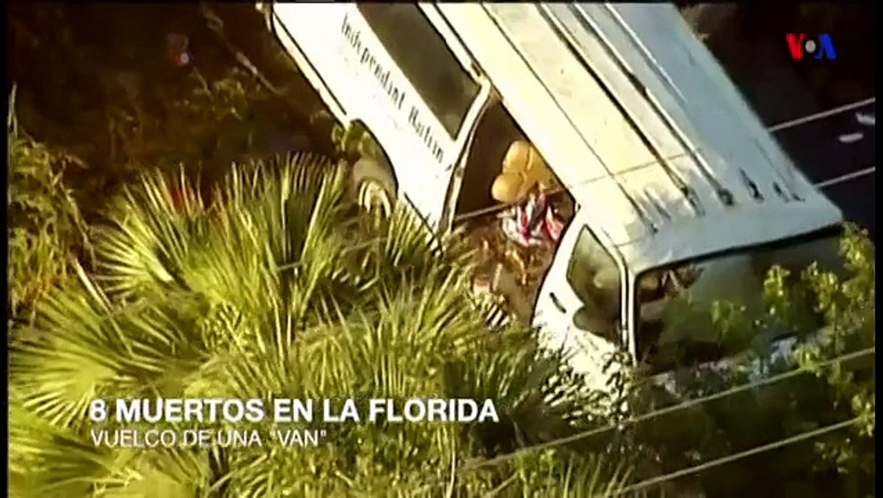 Ocho muertos en accidente