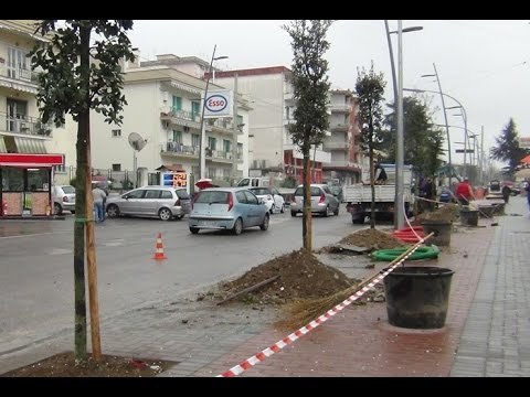 Aversa (CE) - Piantumati nuovi alberi in Via Di Jasi (30.03.15)