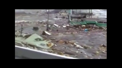 Giappone - Lo Tsunami 44