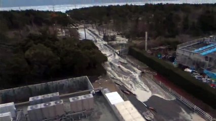 Giappone - Lo Tsunami 21