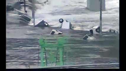 Giappone - Lo Tsunami 16