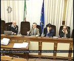Roma - Audizioni su contraffazioni oli di oliva (26.03.15)