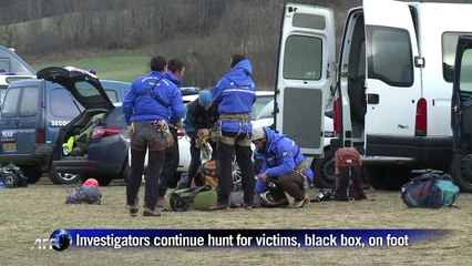 Hunt resumes on foot for Alps plane crash DNA, black box