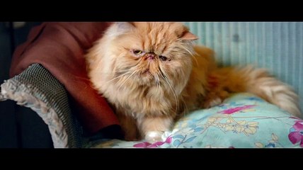 TOUTE PREMIÈRE FOIS - Bande-annonce