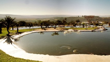 LES YEUX JAUNES DES CROCODILES - Bande-annonce