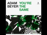 Adam Beyer - You're the Same - Truesoul - TRUE1253