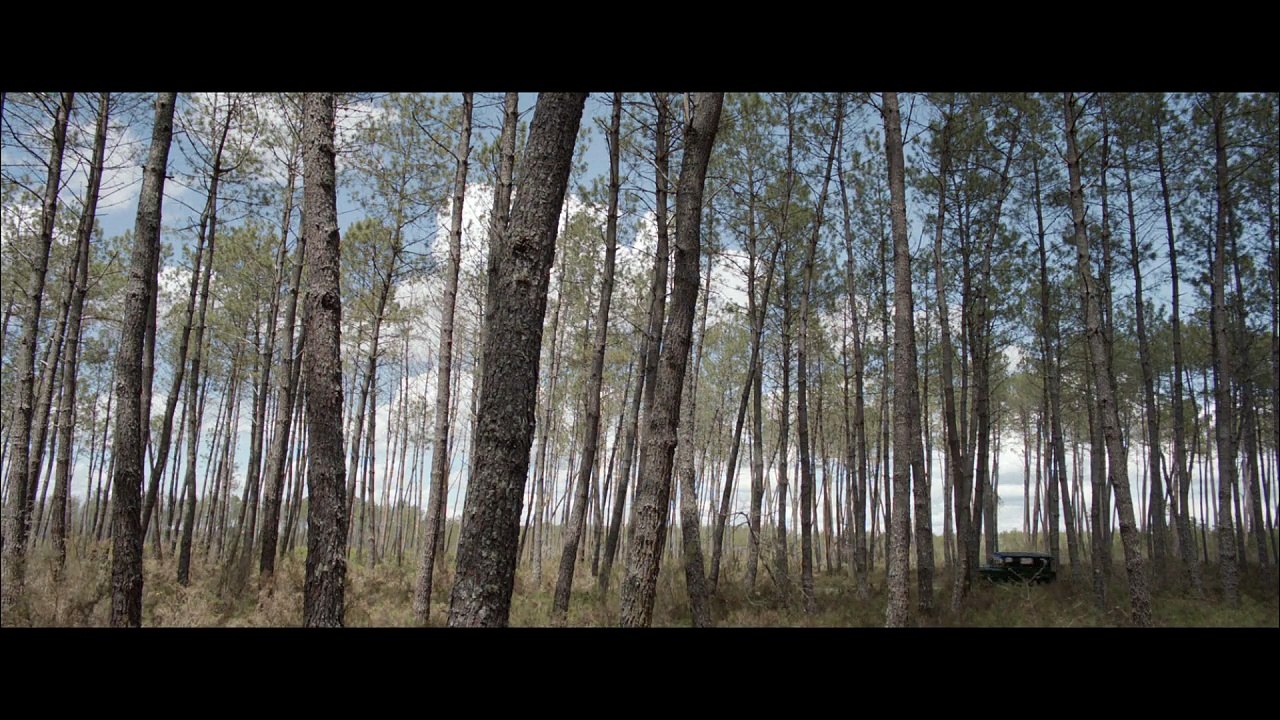 LANDES - Bande-annonce