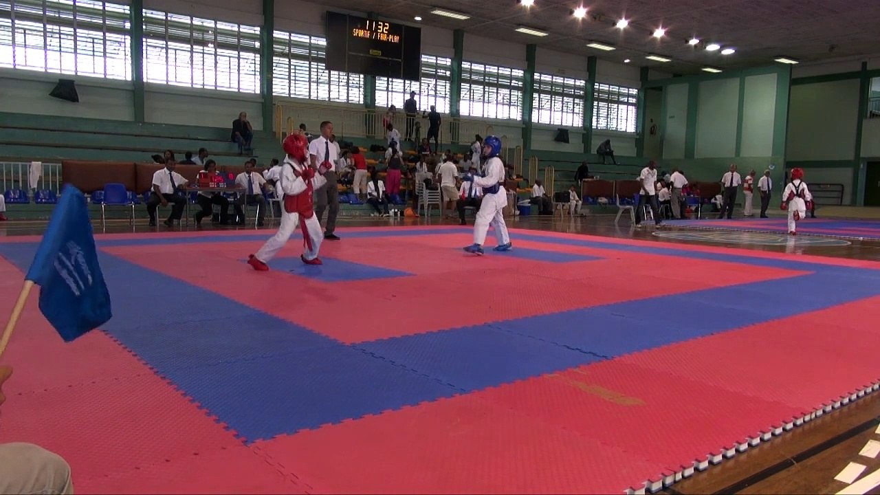 MATHIS coupe petit SAMOURAI 2015