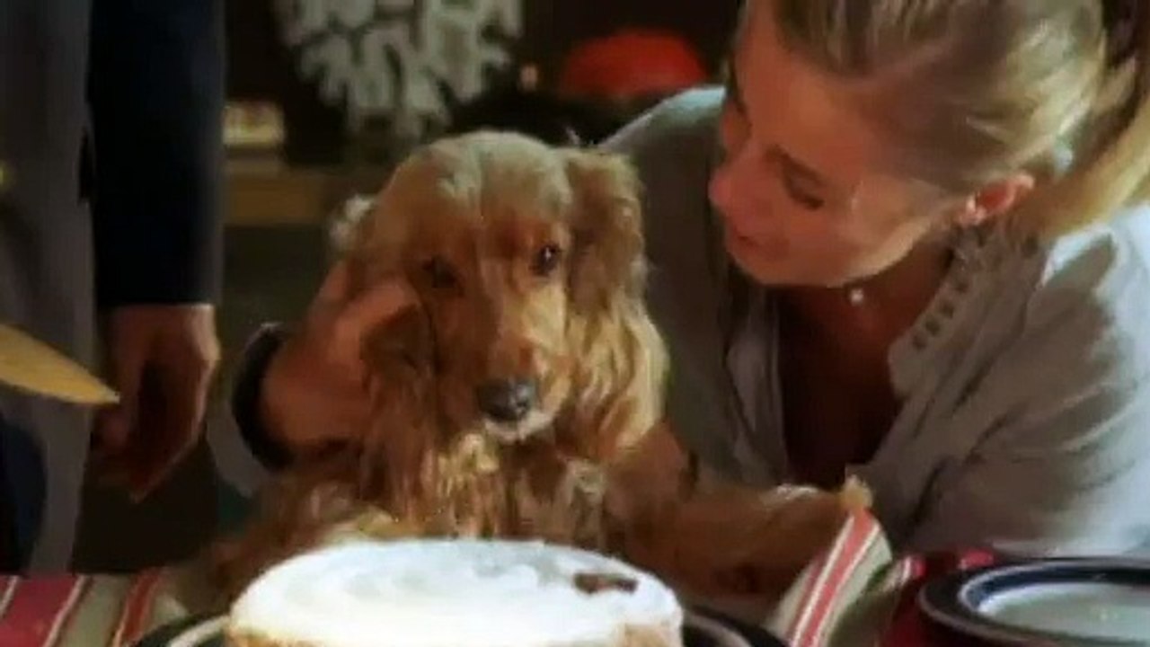 BAMBOU - Bande-annonce