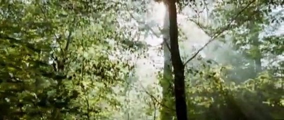 COCO CHANEL & IGOR STRAVINSKY - Bande-annonce