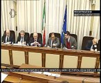 Roma - Audizione Presidente Previdenza Farmacisti, Croce e Lazzaro (17.03.15)