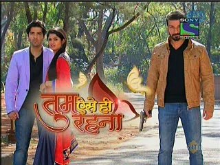 Tum Aise Hi Rehna - 30th March 2015  Part 1