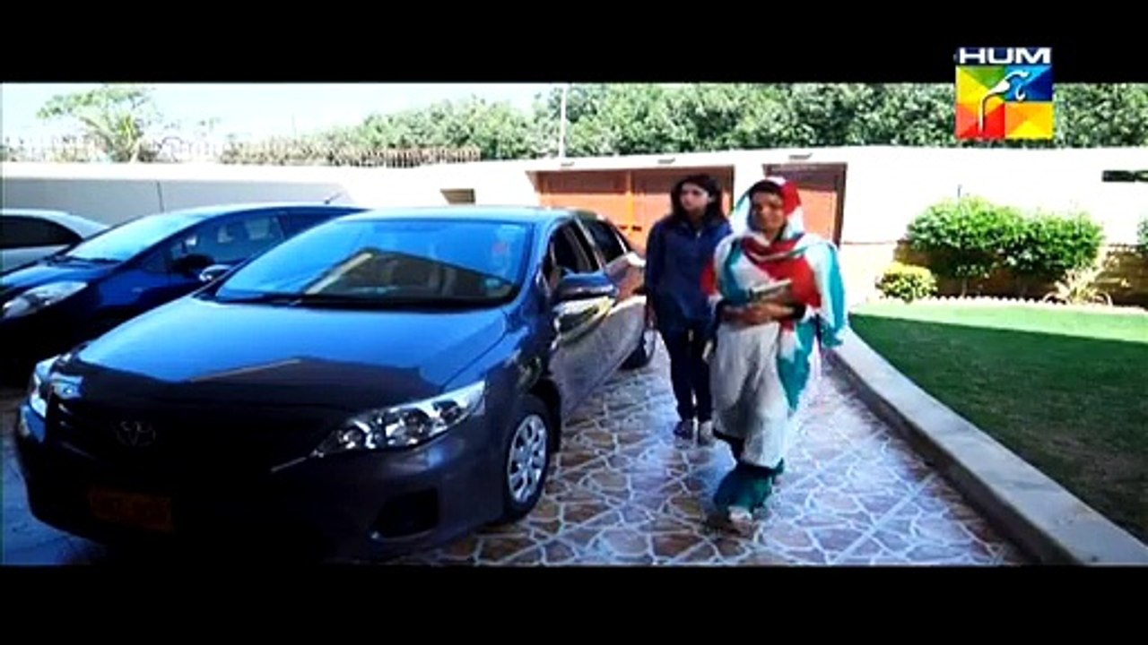 Aik Pal Episode 19 P1 on Hum Tv 30 March 2015